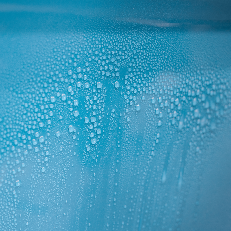 BodyGuard Versiegelung für Boote The Finisher